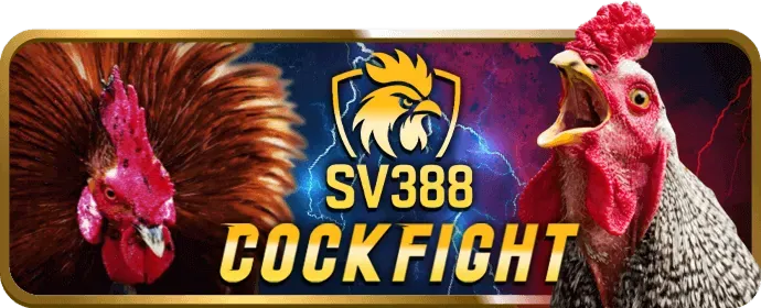 Cá cược thể thao sôi động tại goal123 code